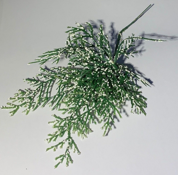 Zweig verschneit / Juniperus Zweig mit Schnee